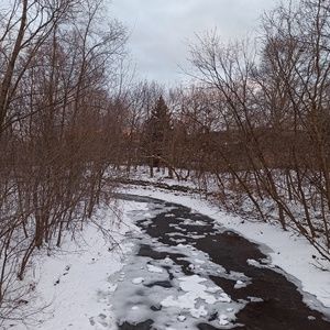 Meet your Posher, Tina